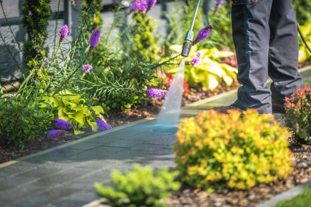 Best House Exterior Washing  in Flora, IN