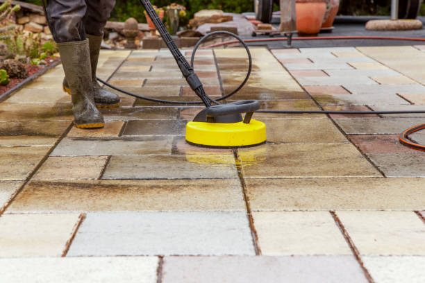 Best Pre-Holiday Cleaning  in Flora, IN