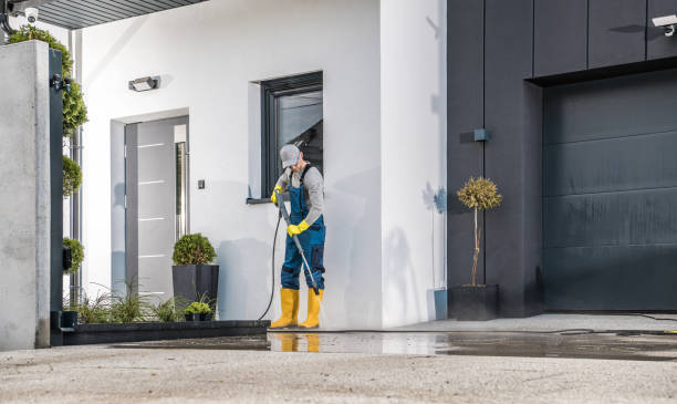 Best Driveway Pressure Washing  in Flora, IN